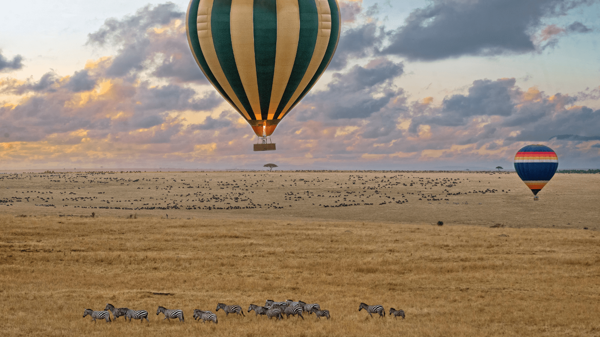 Discover the best luxury safaris in Kenya. Experience the Great Migration, breathtaking landscapes, and diverse wildlife. Book your adventure now!