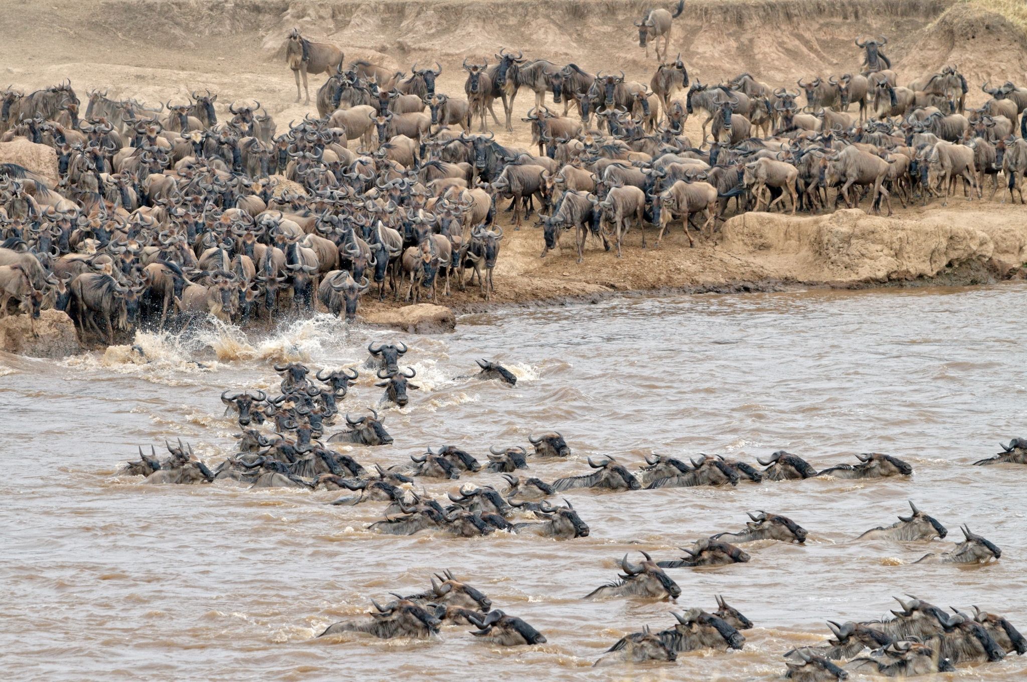 Serengeti - Ranger Buck Safaris