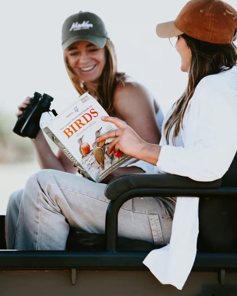 Two guests with binoculars and a bird book on a game vehicle at Madikwe