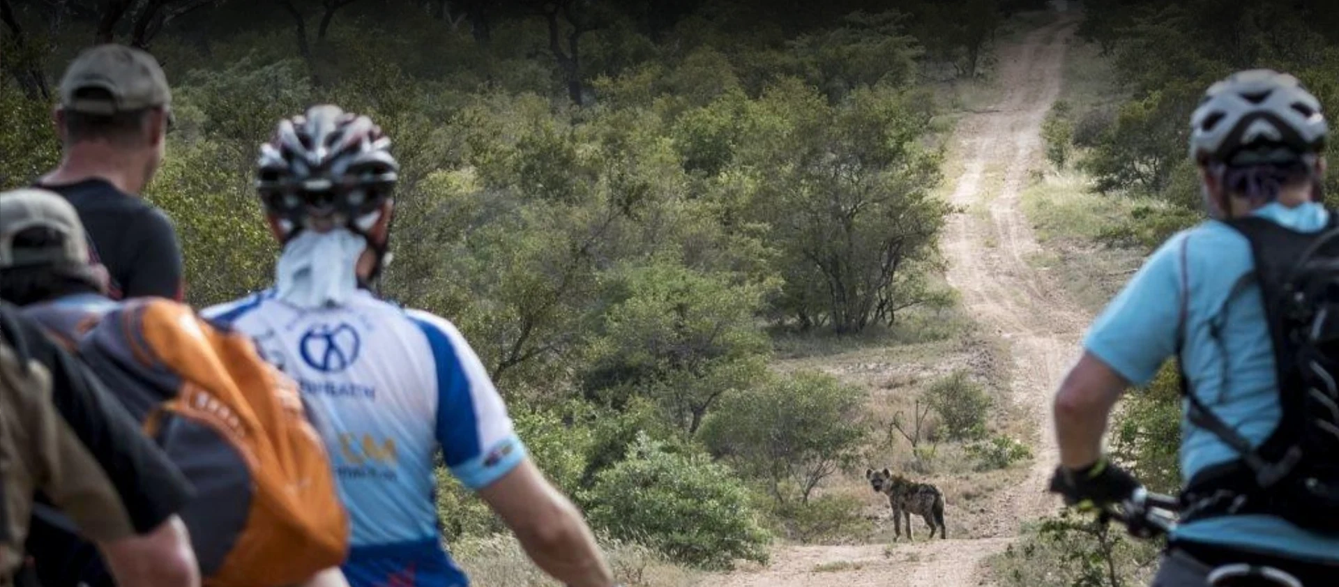 Experience an unforgettable 3-night Big 5 mountain bike safari at Kapama River Lodge. Book now for a unique wildlife adventure with full board, guided tours, and more!