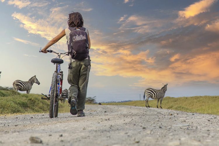 Mountain biking through the bush at Kapama Private Game Reserve