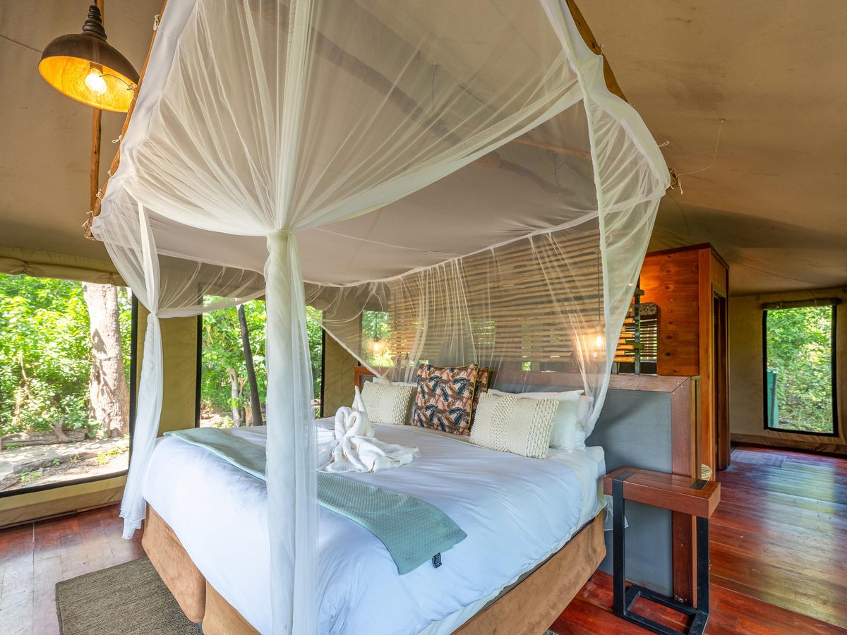 Tented suite interior with mosquito net at Saguni Safari Lodge