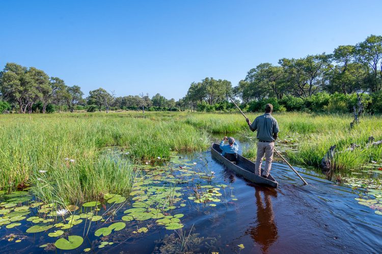 Mokoro poling through the channels of the Okavango Delta