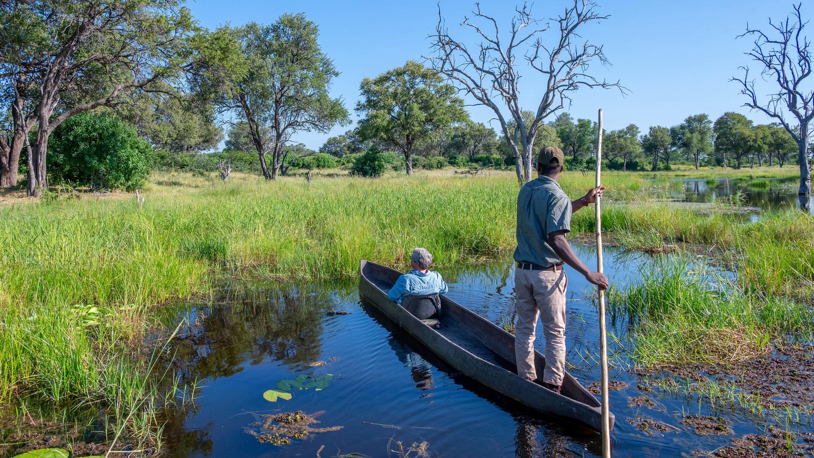 Guide poling a mokoro through lily-covered channels in the Okavango Delta