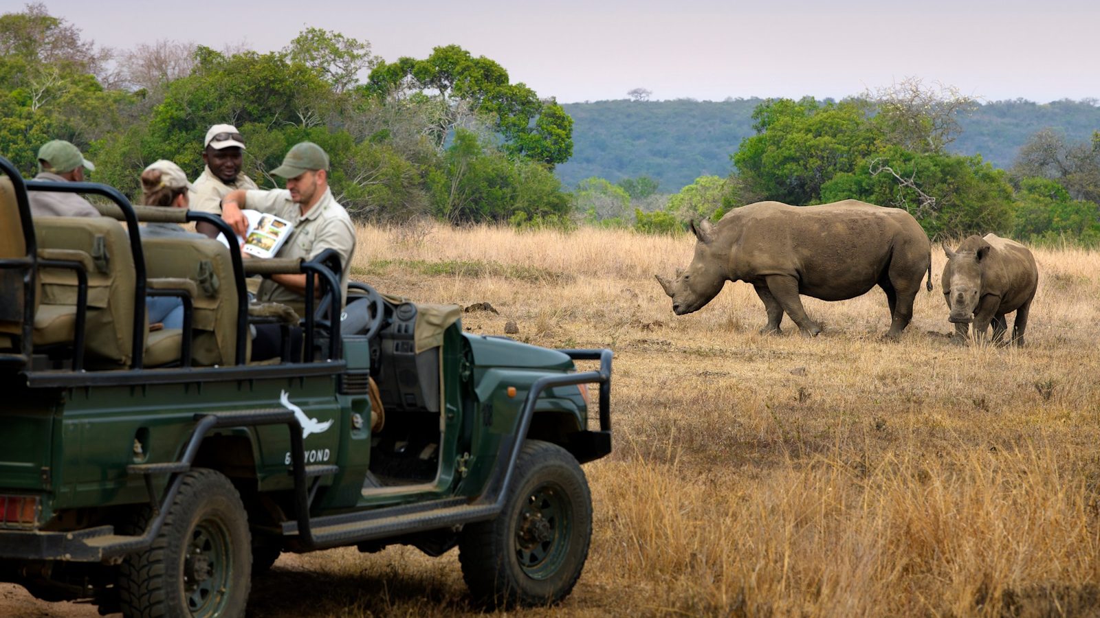 Guests watching white rhino from an andBeyond game vehicle at Phinda Private Game Reserve