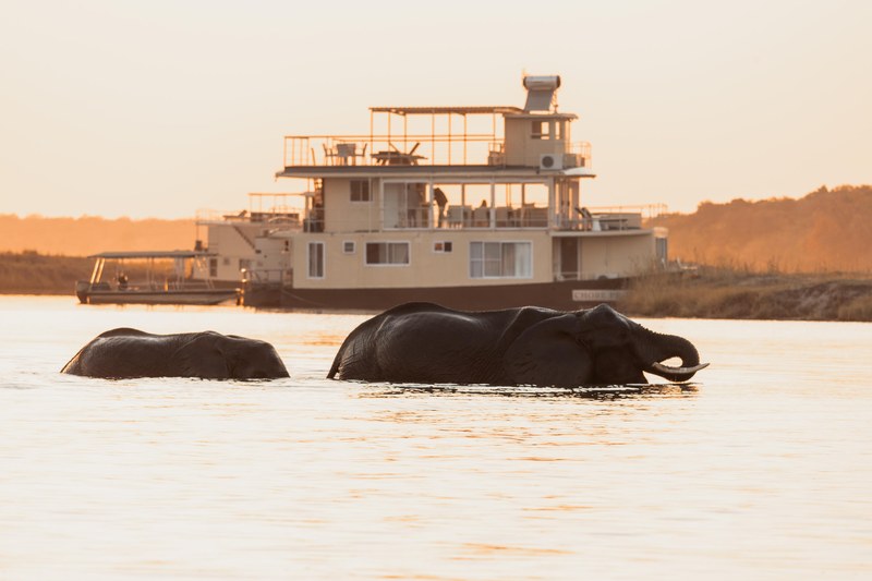 Chobe Princess houseboat at sunset with elephants in the river