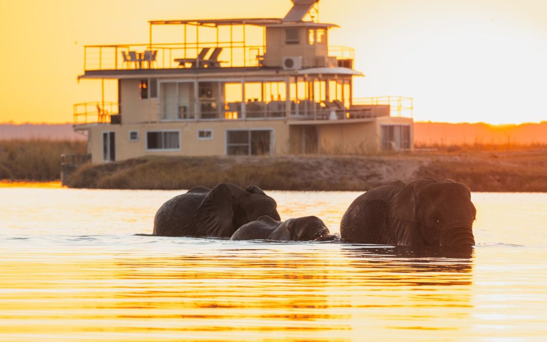 How Much Does a Luxury African Safari Cost?
