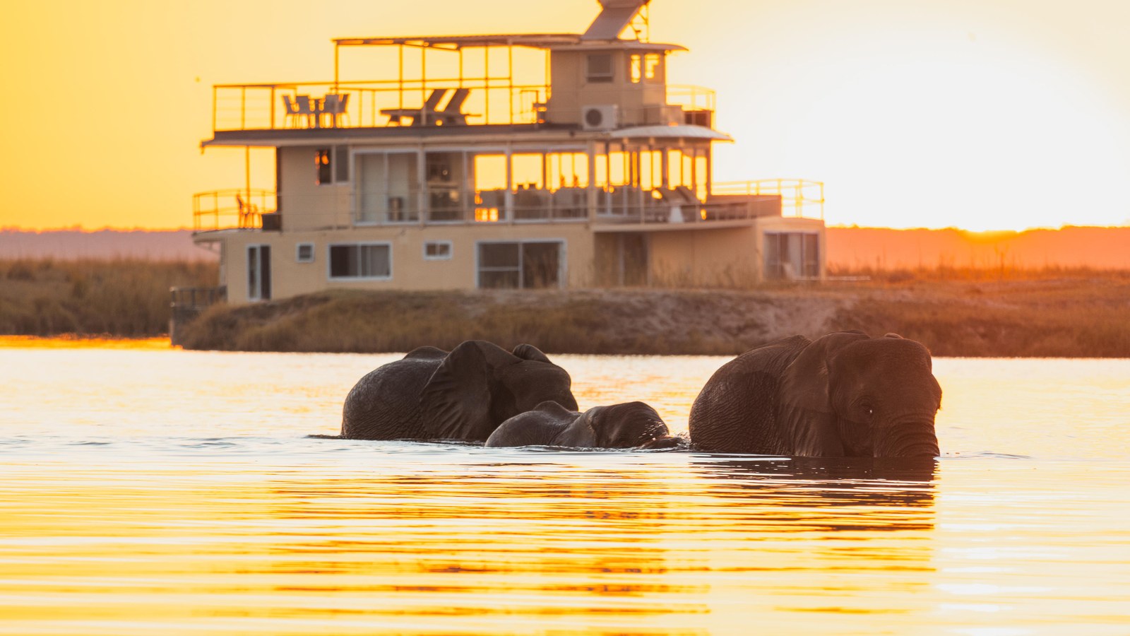 The Chobe Princess houseboat moored on the Chobe River at sunset with elephants standing in the water in front of it