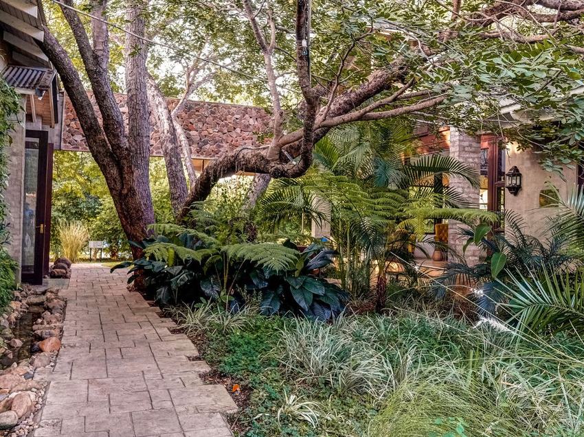 A path winding between suites at Mbano Manor through dense teak forest