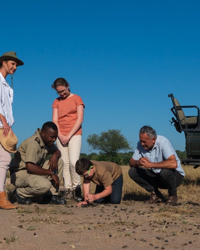 Guests and guides examining tracks on the ground during a walking safari at Sabi Sabi