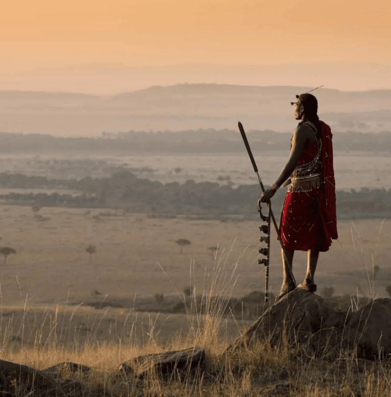 How Much Does a Luxury AllInclusive Kenya Safari Cost