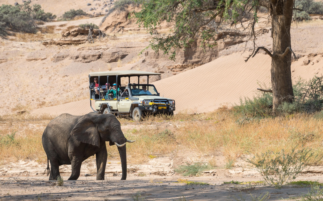 How Many Days Should You Spend on an African Safari?