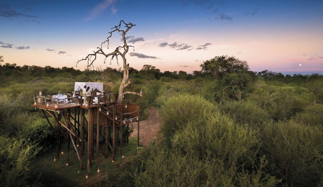 Best African Safaris for Couples: Unforgettable Romantic Getaways