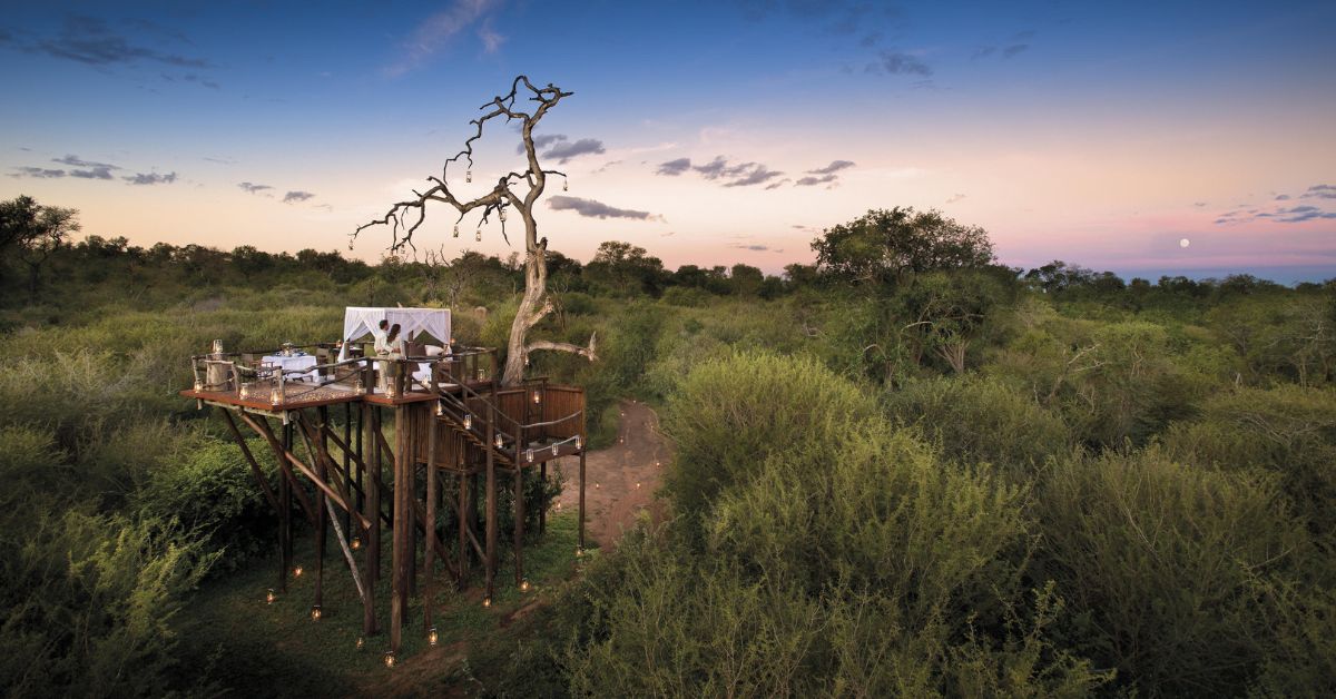 Best African Safaris for couples