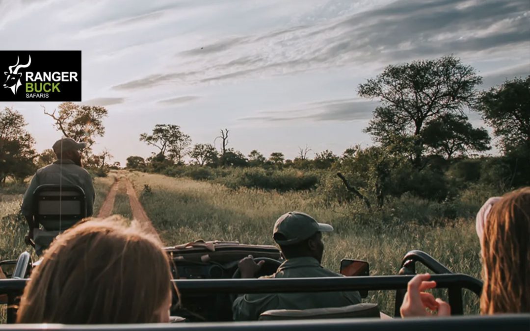 Best Trips to South Africa: Unforgettable Adventures Await