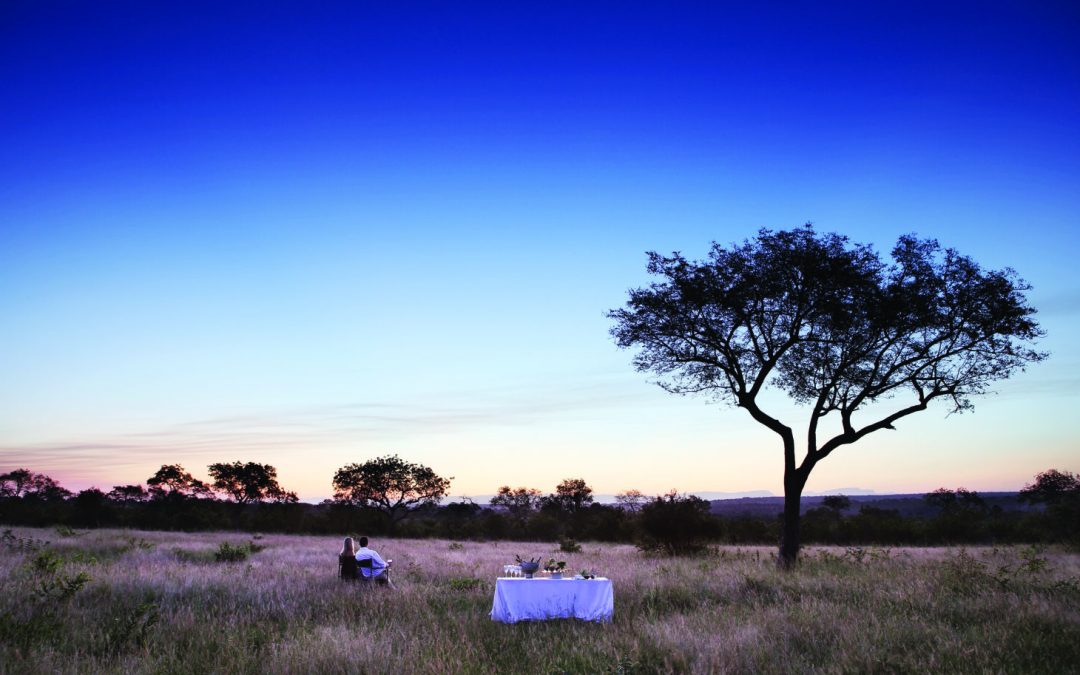 Best Time for a Safari in Africa