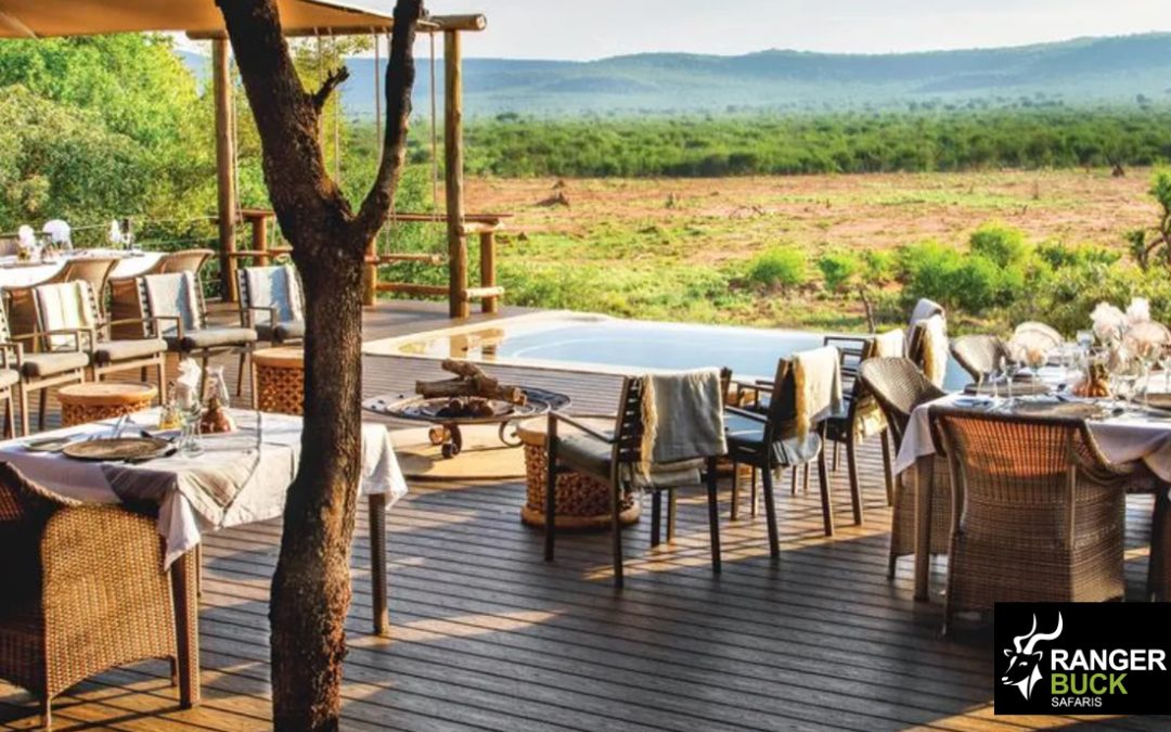 South Africa Tours from the USA: Your Ultimate Safari Adventure
