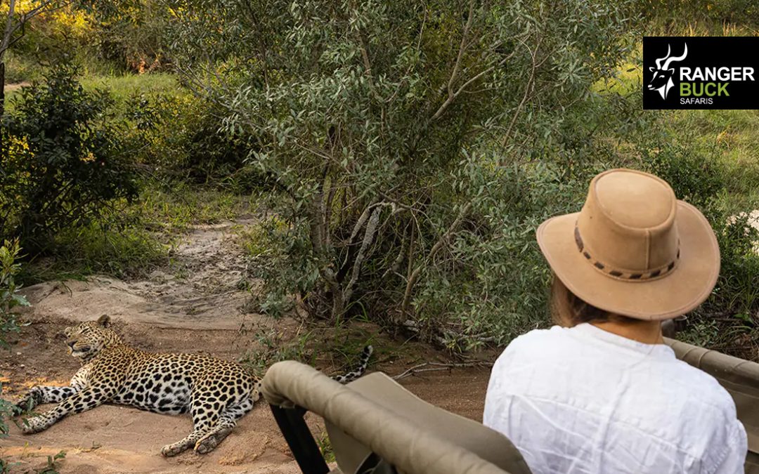 | south africa safari tour