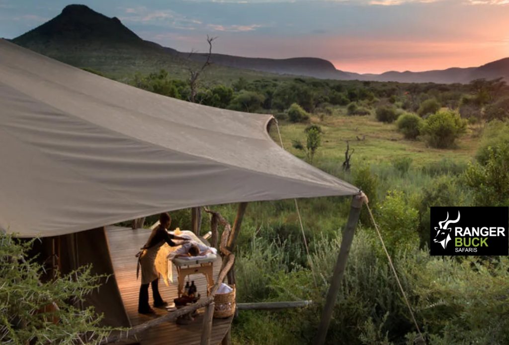 South Africa Safari Packages