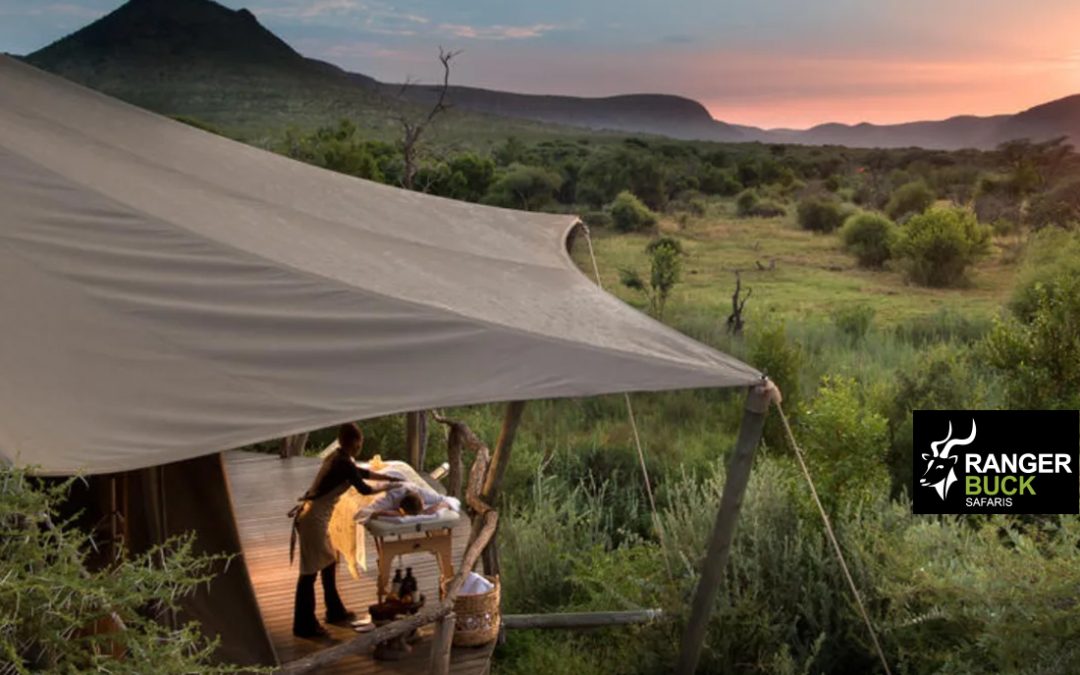 South Africa Safari Packages: Unforgettable Adventures with Ranger Buck Safaris