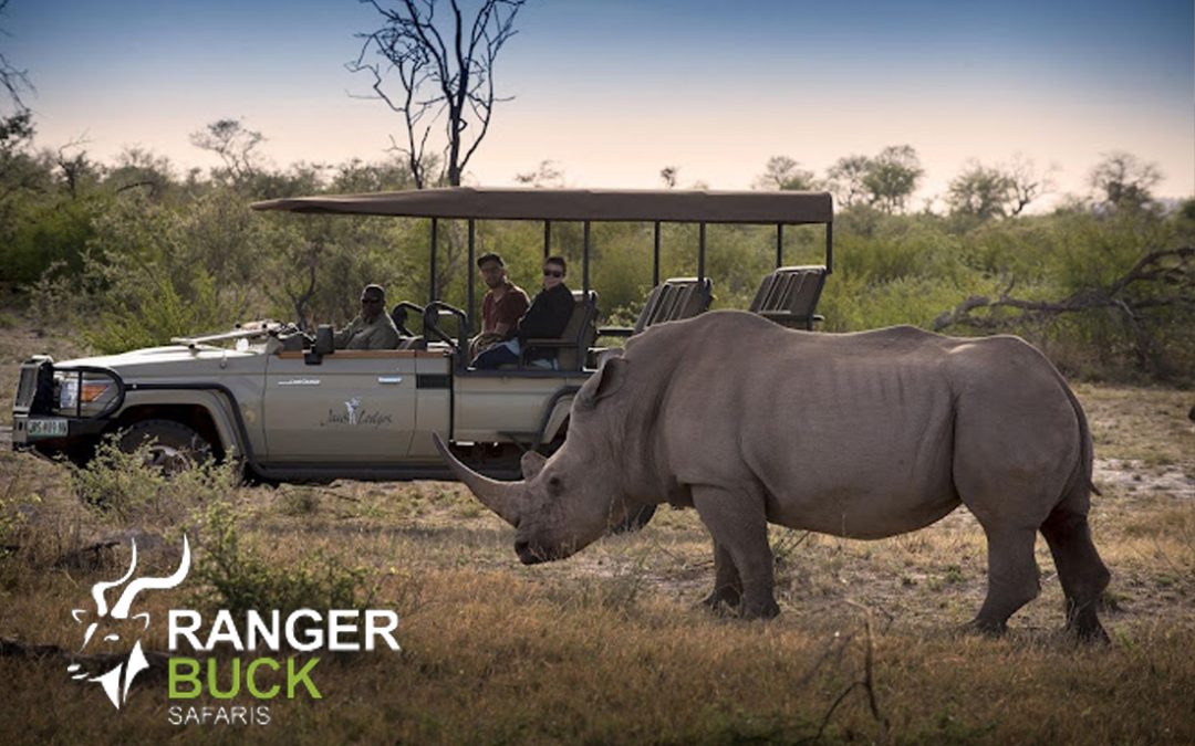 Best Trips to South Africa: A Journey Through Diverse Landscapes and Cultures