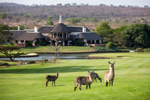 Leopard Creek Golf Packages Leopard Creek Golf Packages