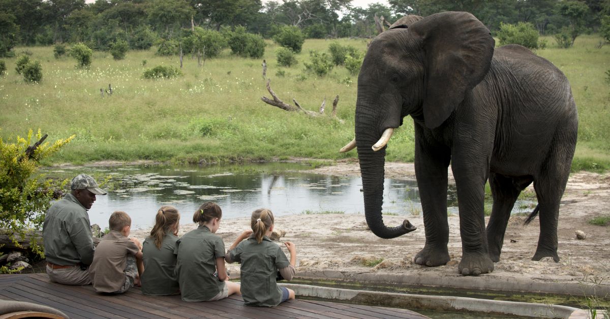 kruger national park cost