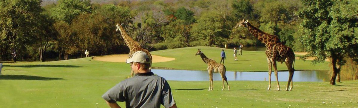 leopard creek Golf safari South Africa leopard creek Golf safari South Africa