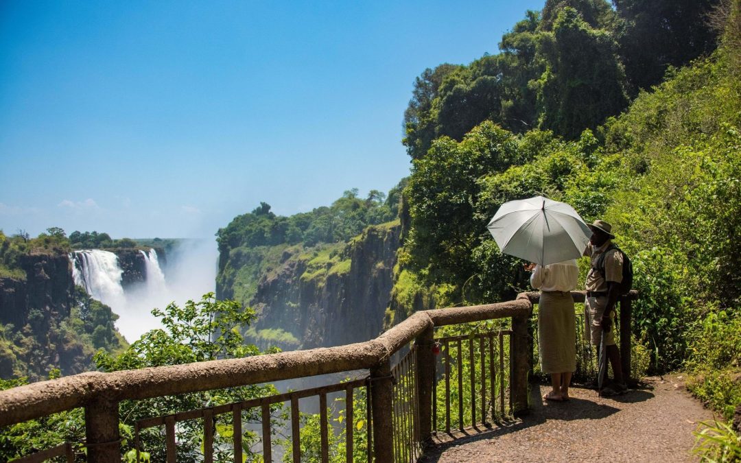 Best Time to Visit South Africa & Victoria Falls: A Complete Guide by Ranger Buck Safaris