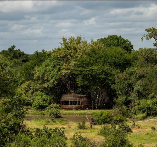 Riverside bush setting at Tanda Tula in the Timbavati