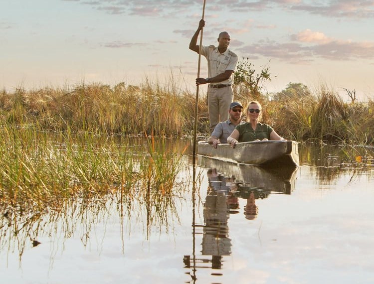 A guide poling a mokoro through Okavango Delta reeds at sunrise